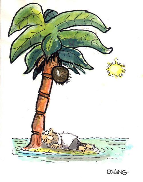 Coconuts.