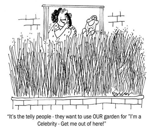 It's the telly people-they want to use OUR garden for 'I'm a Celebrity-Get me out of here!'