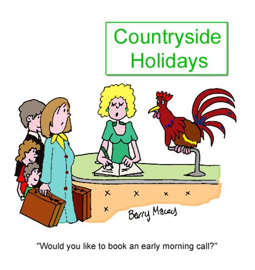 'Would you like to book an early morning call?'