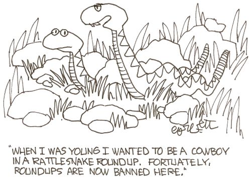 'When I was young I wanted to be a cowboy in a rattlesnake roundup.  Fortuately, roundups are now banned here.'