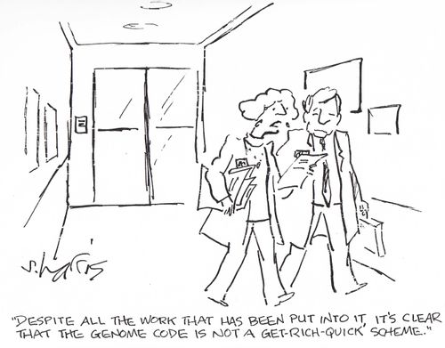 'Despite all the work that has been put into it, it's clear that the genome code is not a get-rich-quick scheme.'