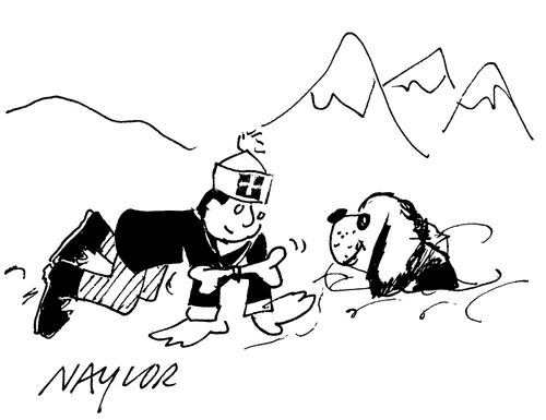 Mountain Rescue for a Dog.
