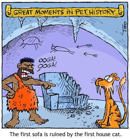 Great moments in pet history (the first house cat)