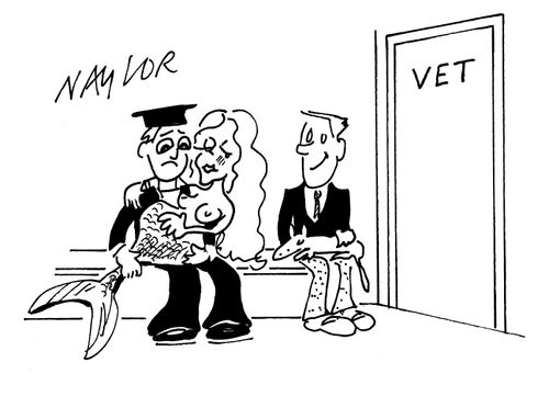 Man takes mermaid to vet.