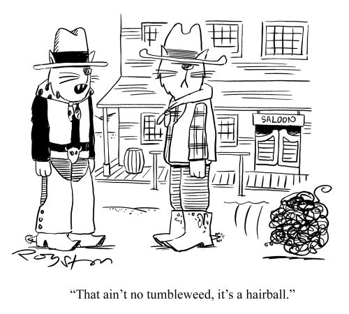 Cat cowboy says: 'That ain't no tumbleweed, it's a hairball.'