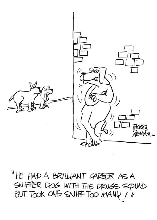 "He had a brilliant career as a sniffer dog, but took one sniff too many."