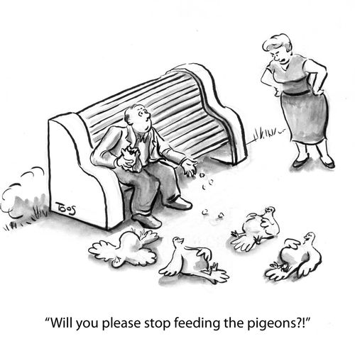 'Will you please stop feeding the pigeons?!'