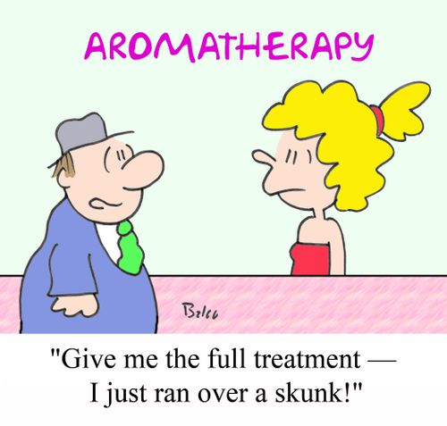 'Give me the full treatment - I just ran over a skunk!'