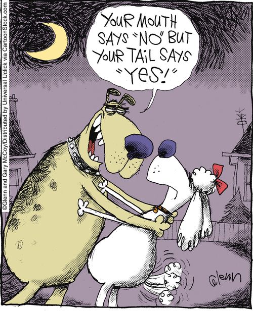 'Your mouth says 'no', but your tail says 'yes!''