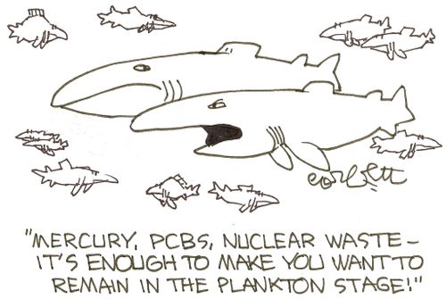 'Mercury, PCBs, nuclear waste- it's enough to make you want to remain in the plankton stage!'