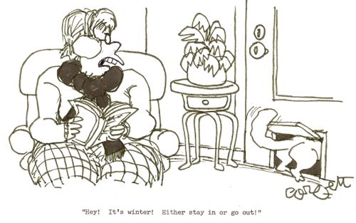 'Hey!  It's winter!  Either stay in or go out!'