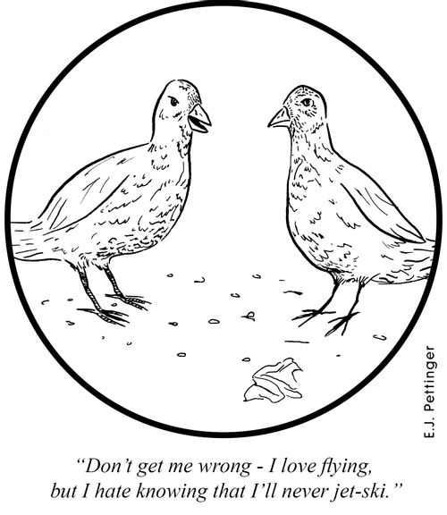 'Don't get me wrong - I love flying, but I hate knowing that I'll never jet-ski.'