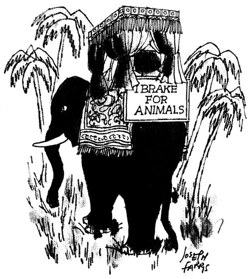 'I brake for animals'