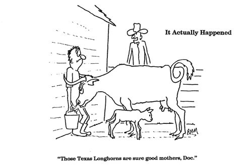 'Those Texas Longhorns are sure good mothers, Doc.'