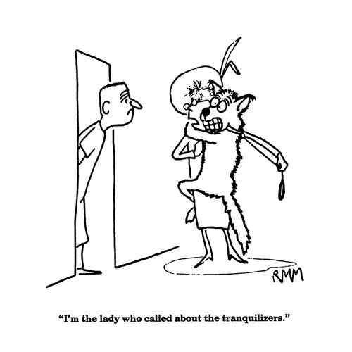'I'm the lady who called about the tranquilizers.'