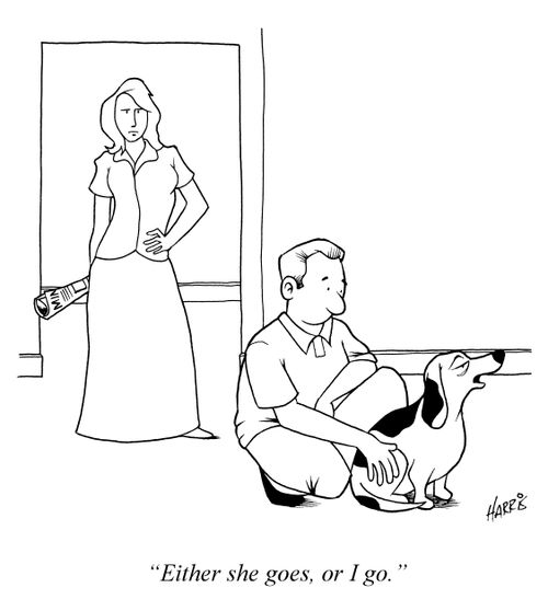 'Either she goes, or I go.'