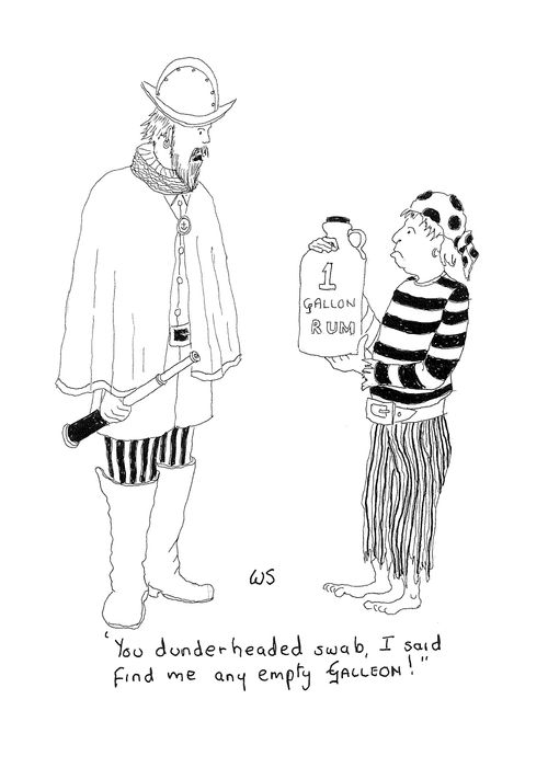 'You dunderheaded swab, I said find me any empty Galleon.'