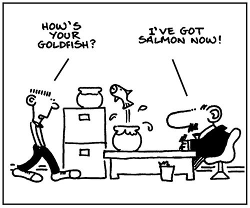 'How's your goldfish?'
