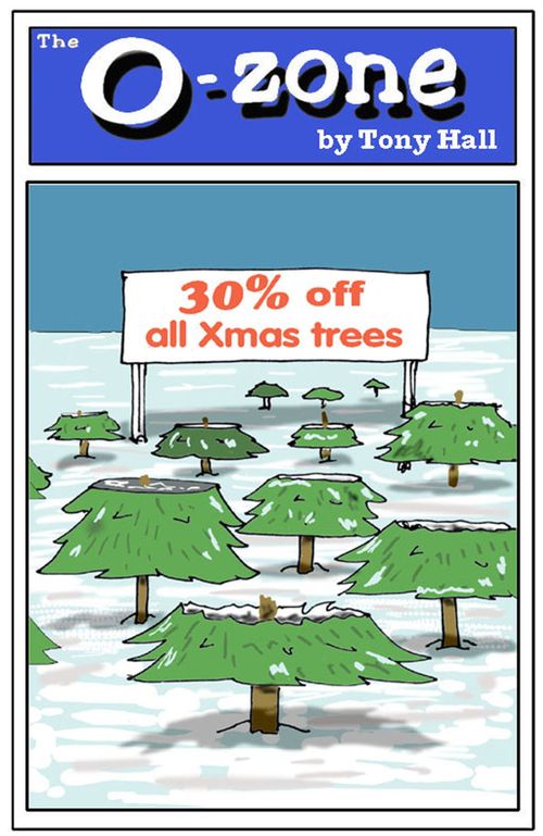 30% off all Xmas trees.