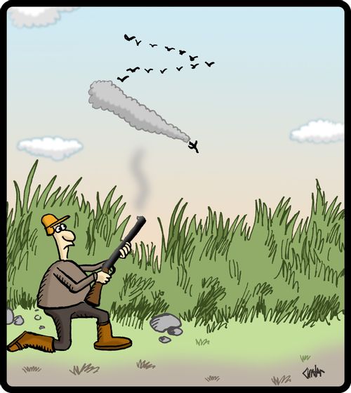 A bird crash.