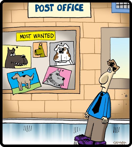 Post office with 'Most Wanted' dog posters.