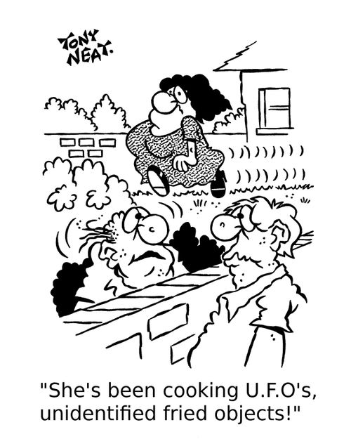 'She's been cooking U.F.O's, unidentified fried objects!'