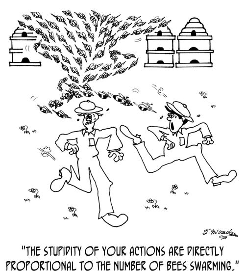 'The stupidity of your actions are directly proportional to the number of bees swarming.'