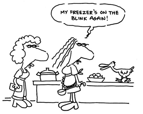 'My freezer's on the blink again.'