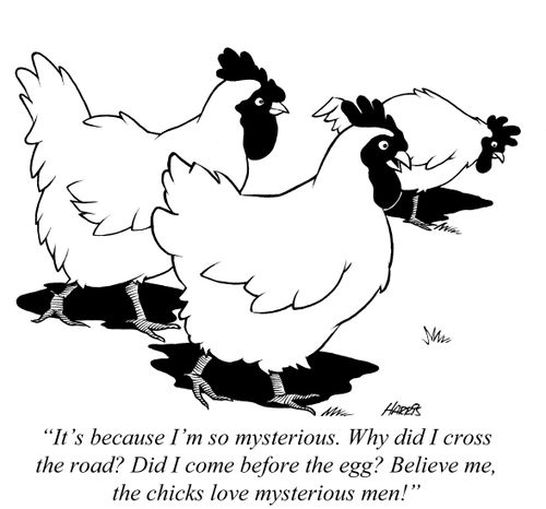 'It's because I'm so mysterious. Why did I cross the road? Did I come before the egg? Believe me, the chicks love mysterious men!'
