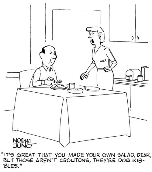 'It's great that you made your own salad, dear, but those aren't croutons, they're dog kibbles.'