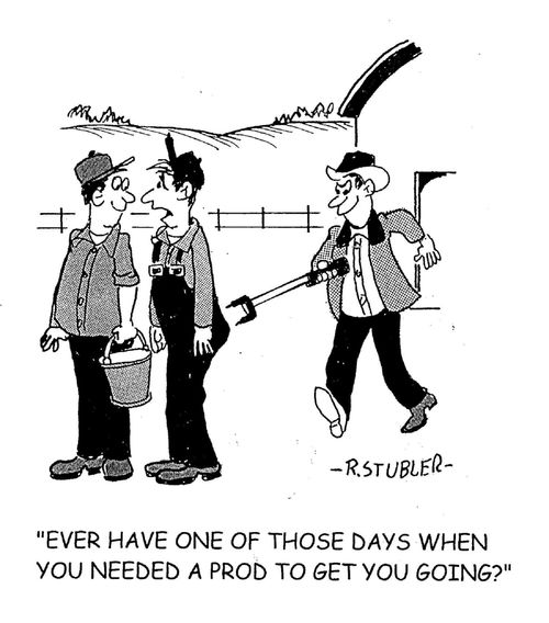 'Ever have one of those days when you needed a prod to get you going?'