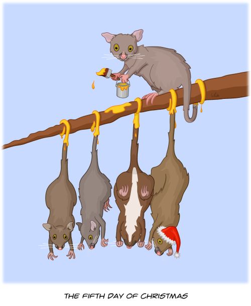 The Fifth Day of Christmas