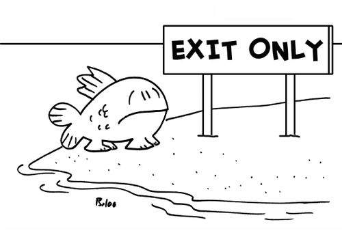 Exit only.