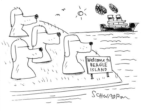 'Welcome to beagle island.'