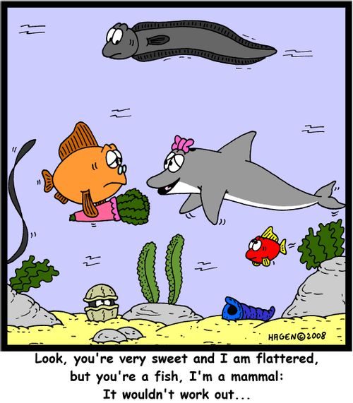 'Look, you're very sweet and I am flattered, but you're a fish, I'm a mammal: It wouldn't work out...'