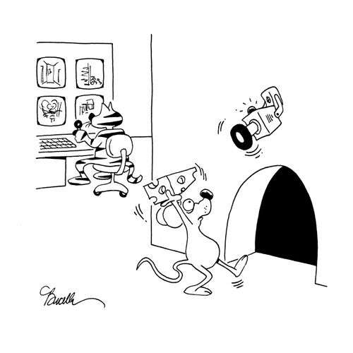 Mousesurveillance.