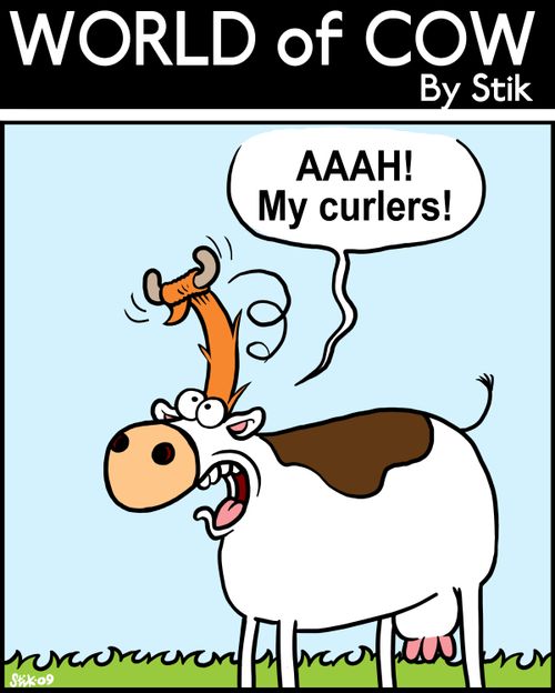 Aaah! My curlers!