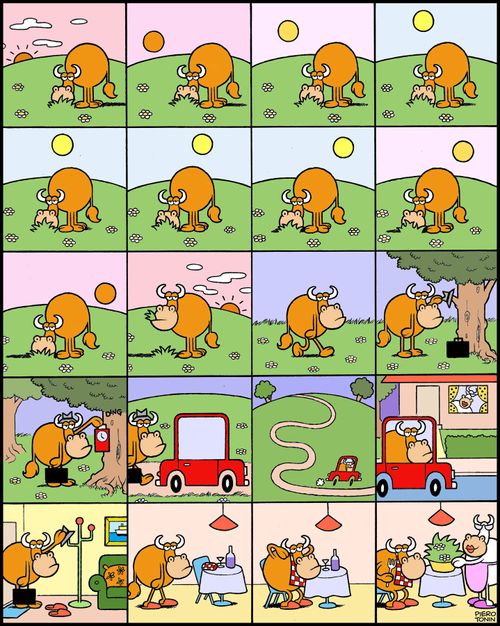 A day in the life of a cow.