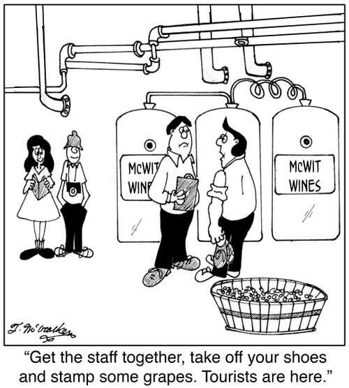 'Get the staff together, take off your shoes and stamp some grapes. Tourists are here.'