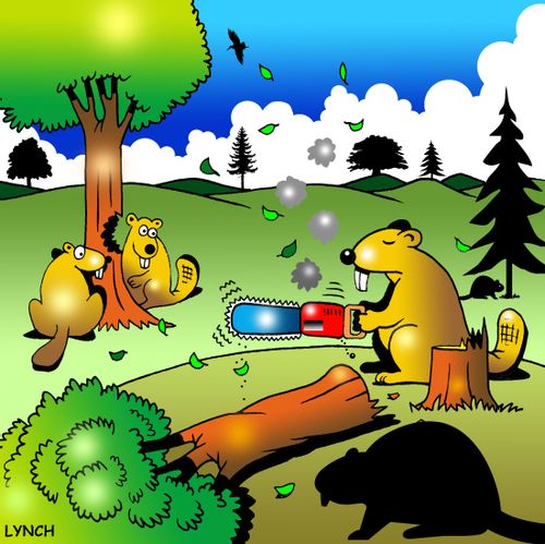Lazy beaver.