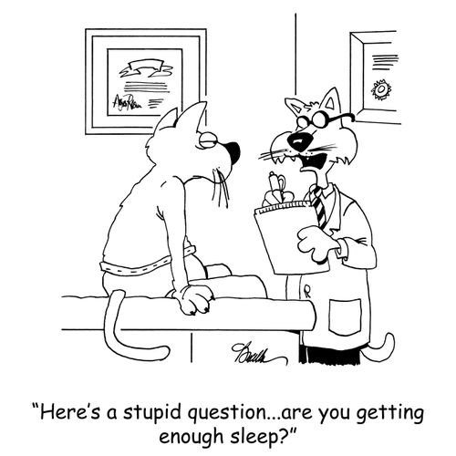 'Here's a stupid question...are you getting enough sleep?'