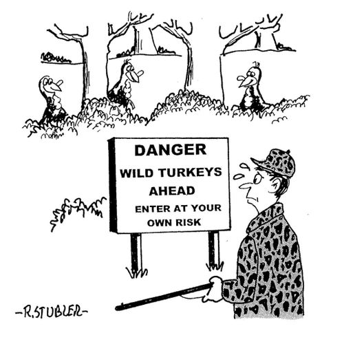 Danger: Wild Turkeys Ahead, Enter At Your Own Risk.