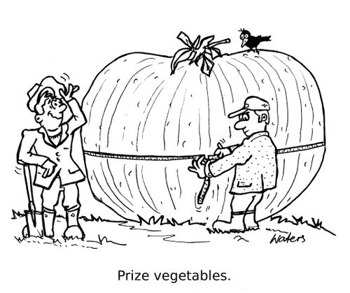 Prize vegetables.