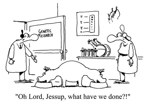 'Oh Lord, Jessop, what have we done?!'