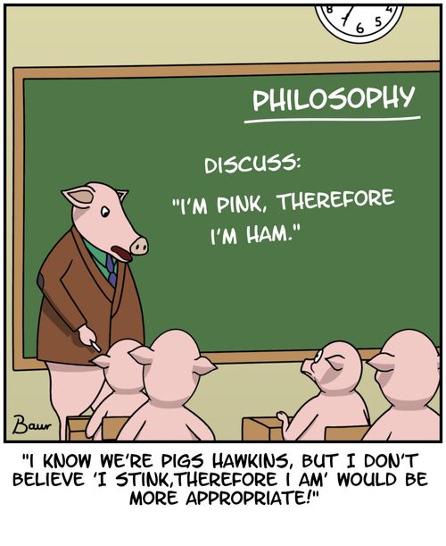 Pig philosophy class - 'I'm pink, therefore I'm ham'