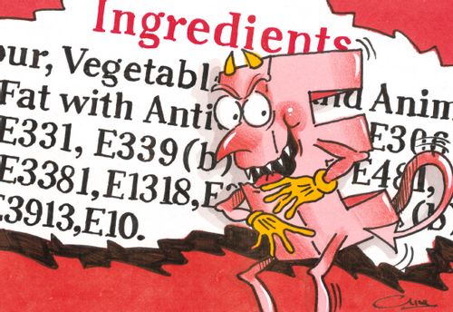 Wicked E number in an ingredients