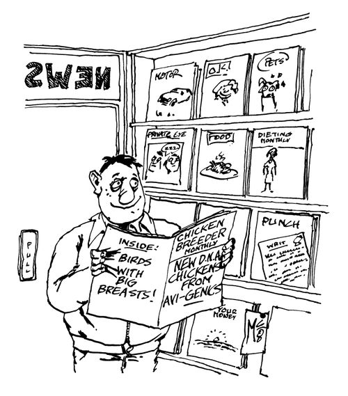 'Chicken Breeder Monthly'