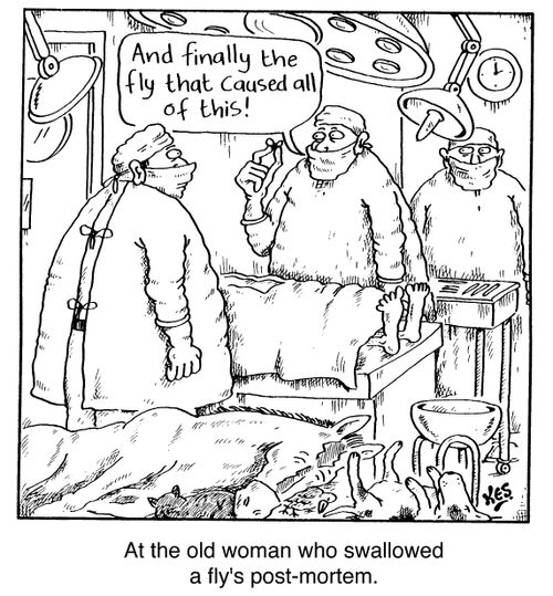 'At the old woman who swallowed a fly's post-mortem'