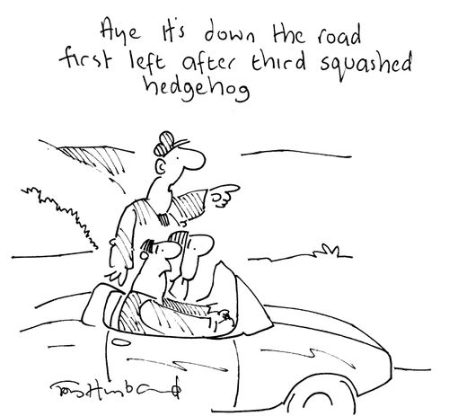 Directions, "Aye, it's down the road, first left after the squashed hedgehog"