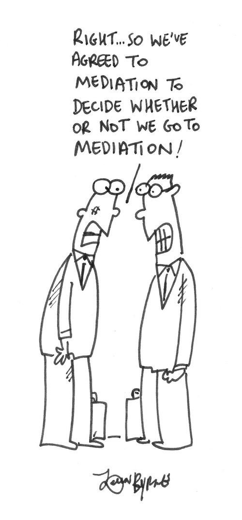 'Right...we've agreed to mediation to decide whether or not we go to mediation!'
